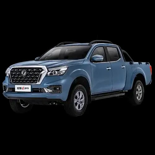 Fengon Rich 6
