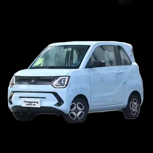 Fengon Mini EV