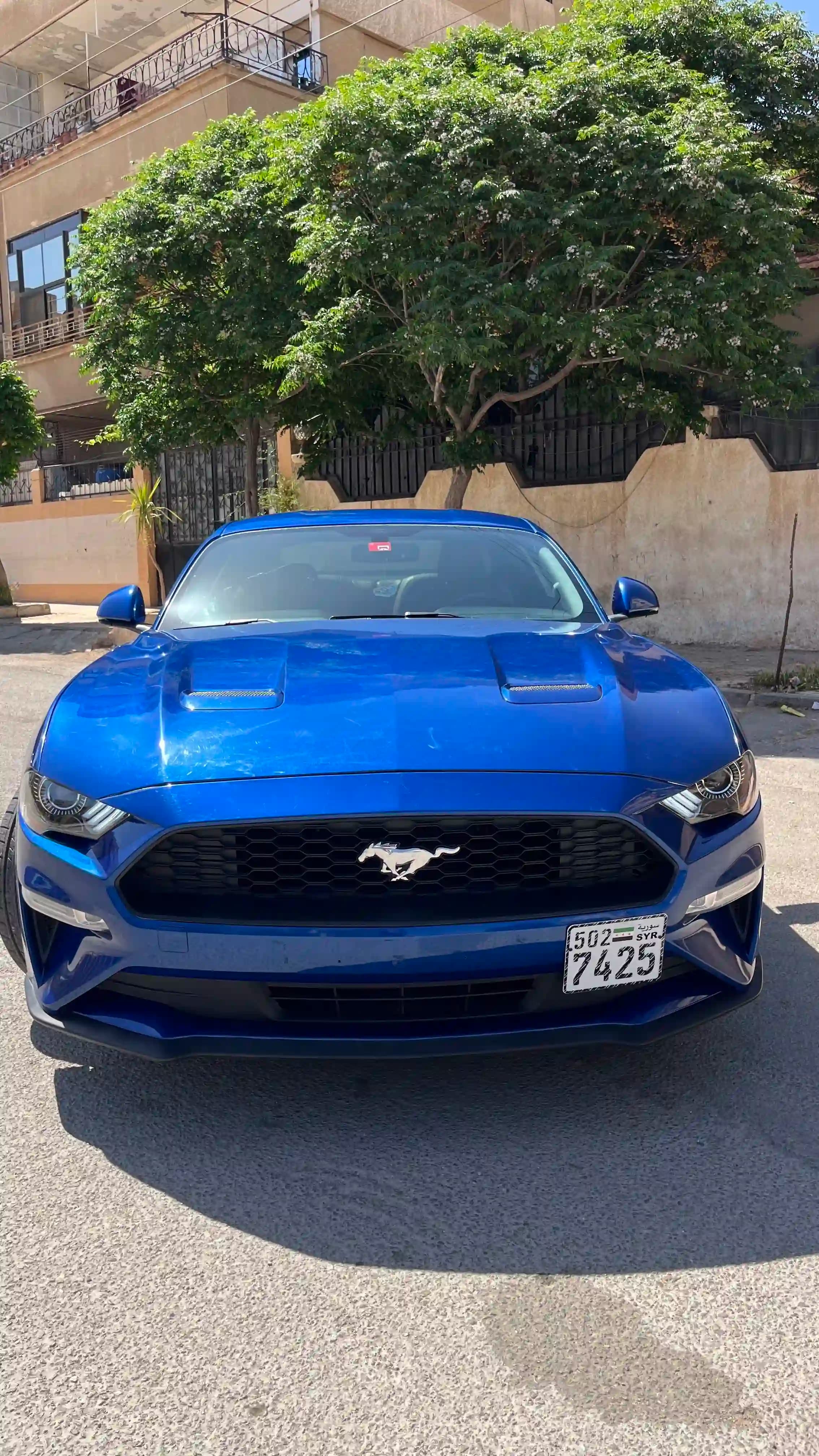 2017 فورد موستنج - Image 2